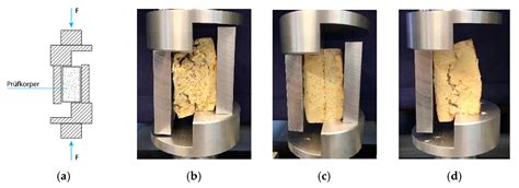 Exploring the Binding Capacity of Mycelium and Wood-Based Composites ...