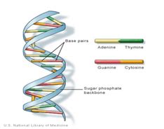 The DNA Technology (Use and Application) Regulation Bill, 2019 - GS SCORE