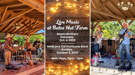 Live Music: Bayou Brothers 10/4 | Heidi and The Hurricane Band 10/5 ...