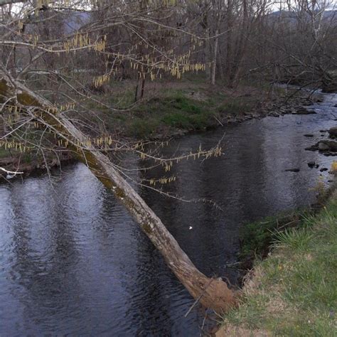 THE CUB MOTEL (Cosby) - Inn Reviews & Photos - Tripadvisor