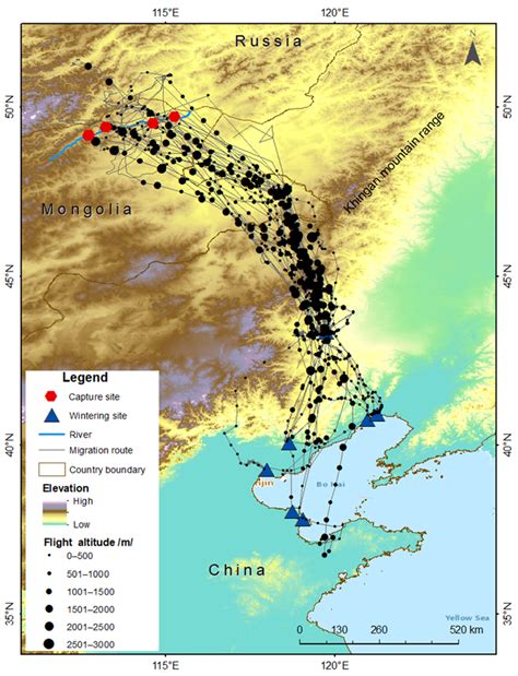 Migration Pattern, Habitat Use, and Conservation Status of the Eastern ...