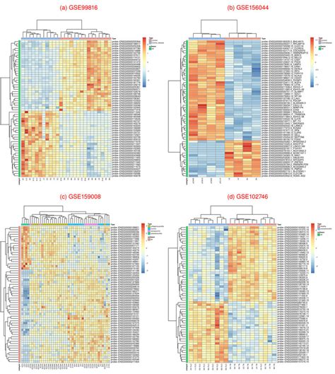 Image result for Gene Expression Map