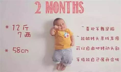 1到12个月，宝宝每个月会长多大？一组创意照，告诉你！