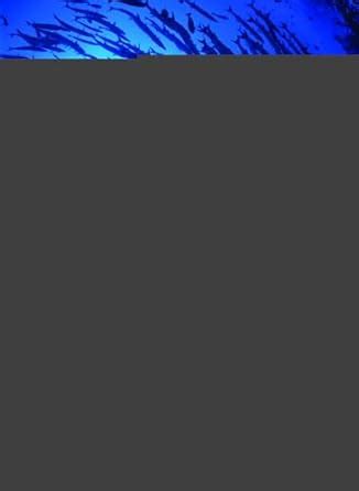 Buy Corporate Finance, 4e Book Online at Low Prices in India ...