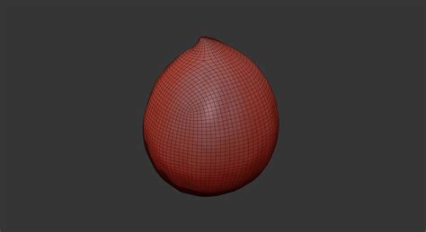 Melon 3D model | CGTrader