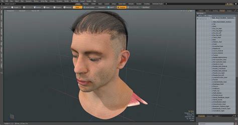 Male Head Realistic Anatomy 3D | 3D Molier International
