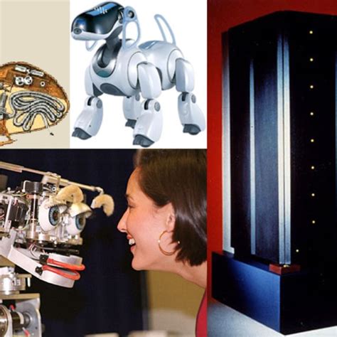 Image result for Digesting Duck