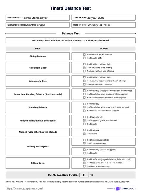 Tinetti Balance Test & Example | Free PDF Download