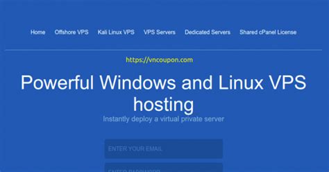 VirtVPS - Windows、Linux VPS 提供 - Torrent Allowed