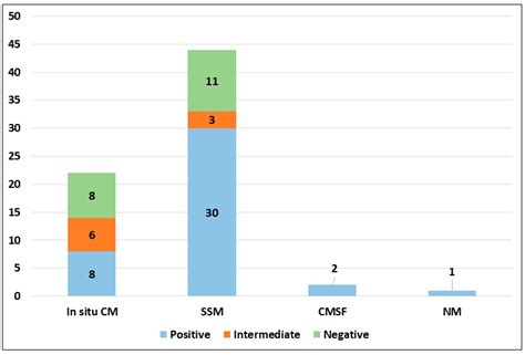 PRAME Is an Effective Tool for the Diagnosis of Nevus-Associated ...