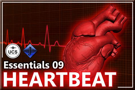 SFX Essentials 09 - HEARTBEAT | Audio Sound FX | Unity Asset Store