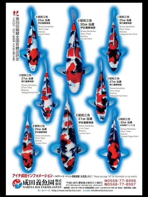 Types of koi fish unveiled types of koi varieties 2019 – Artofit