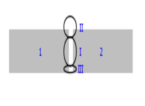 Image result for Ivory Layer Structure