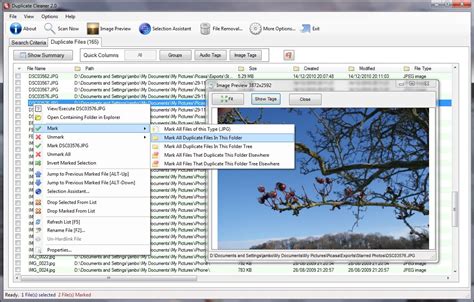 Image result for Duplicate Cleaner 4 License Key