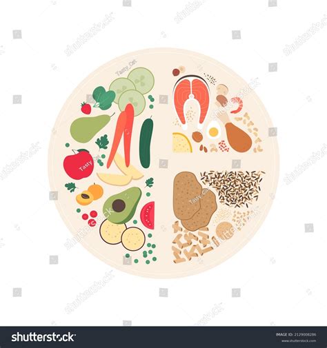 Image result for Colour Food Guide Plate