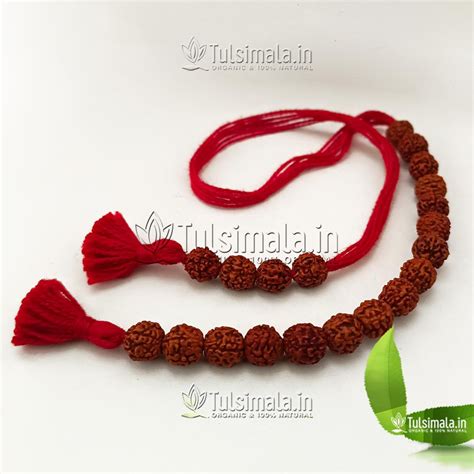 Pure Rudraksha Shakshi Mala 8mm Beads Size - Tulsi Mala