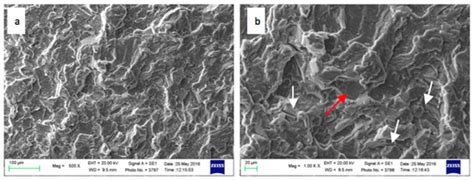 Fatigue Behavior of the Rare Earth Rich EV31A Mg Alloy: Influence of ...