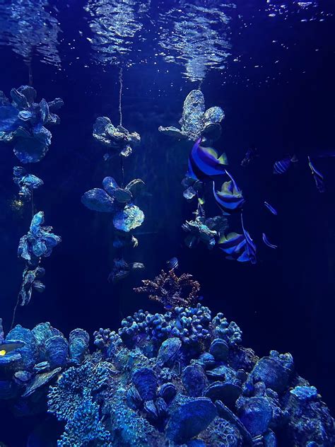 IBIS DOHA - Hotel Reviews, Photos, Rate Comparison - Tripadvisor