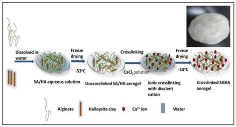 Alginate–Halloysite Nanocomposite Aerogel: Preparation, Structure, and ...
