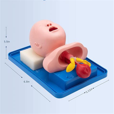UNbit Tracheal Intubation Infant Model - Oral/Nasal India | Ubuy