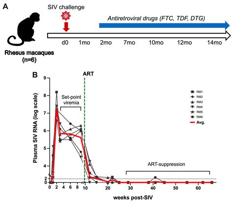 The Association between IL-1β and IL-18 Levels, Gut Barrier Disruption ...