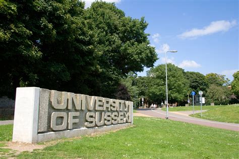 Kathleen Stock: Sussex University to mount legal challenge to free ...