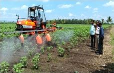 Season and Varieties :: Cotton