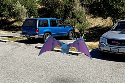 Image result for How to Play Pokemon Go Tutorial