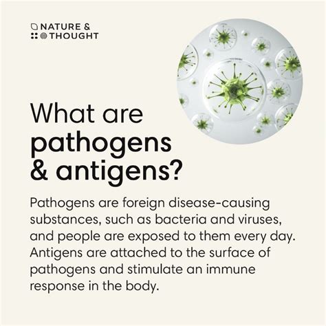 Nature & Thought on LinkedIn: Pathogens VS antigens - here’s the ...