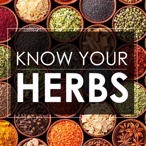 Ayurvedic Power Herbs List