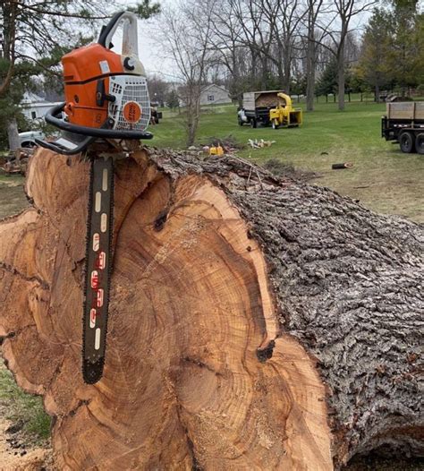 Image result for Tree Top Tree Service