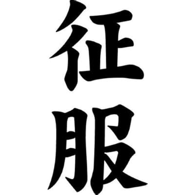 Buy Japanese Kanji Conquest Seifuku Symbol Car Truck Windows Decor ...