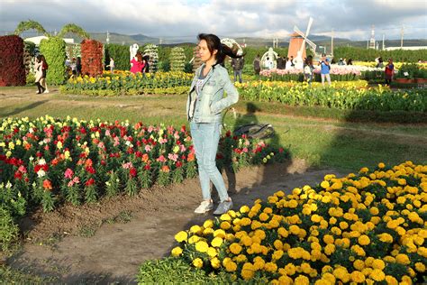 Go to Flower Market 的图像结果