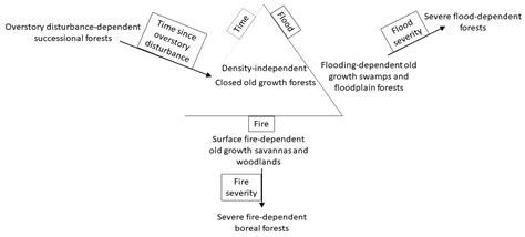 Forest Disturbance Types and Current Analogs for Historical Disturbance ...
