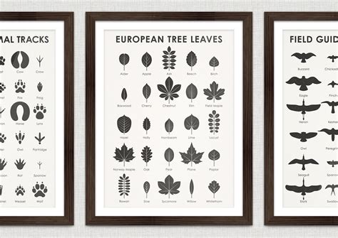 Close-up of white patterned leaves Poster Print 27 x 9 高品質の人気
