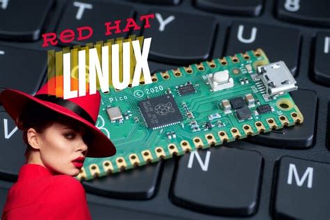 Image result for Terminal Scripts to Use On Ubuntu