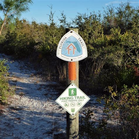 Seminole State Forest (Leesburg) - All You Need to Know BEFORE You Go