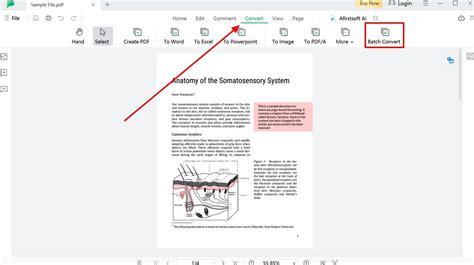 PDF Extraction Tutorial 的图像结果