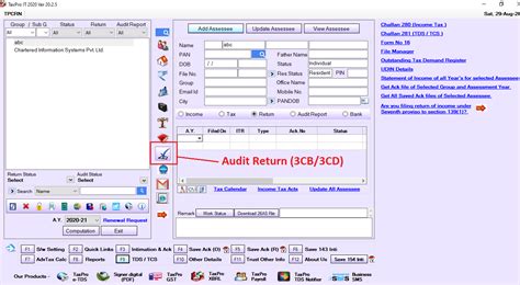 Audit Report - TaxPro Help