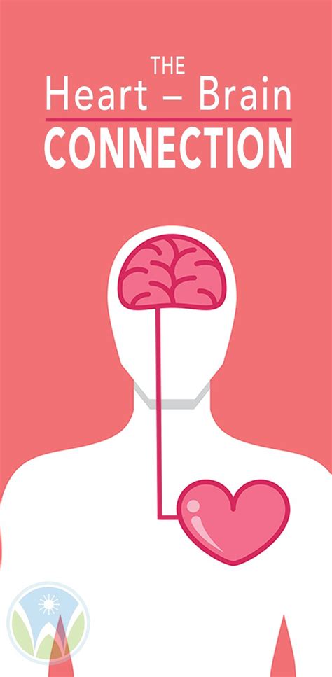 Image result for Heart Brain Connection