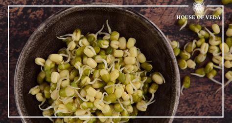 Incredible Benefits of Sprouted Green Moong Dal – HOUSE OF VEDA