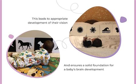 Buy Brainsmith Flash Card for Babies - Animal Learning, High-Contrast ...