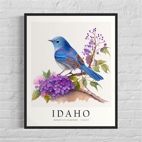 Idaho State Bird And Flower