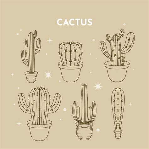 Cactus handrawn Images - Free Download on Freepik