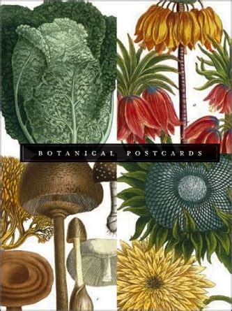 Amazon.in: Buy Botanical Postcard Box Book Online at Low Prices in ...