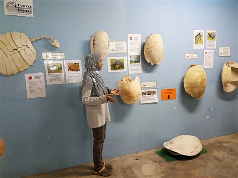 TCS RIVER TERRAPIN CONSERVATION CENTRE - All You Need to Know BEFORE ...