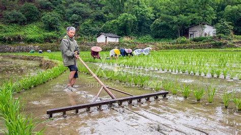 江西遂川：农耕时节忙-人民图片网