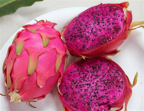 20 PURPLE DRAGON FRUIT (Pitaya / Pitahaya / Strawberry Pear) Hylocereus ...