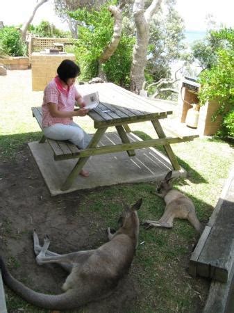 THE 5 BEST Places to Visit in Sussex Inlet (2024)