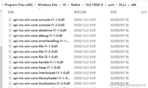 Microsoft VC Runtime 的图像结果
